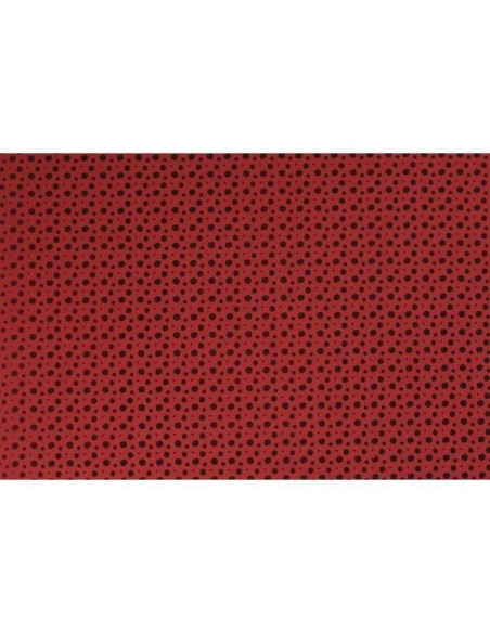 Goma Eva impresa 40x60 topos negros