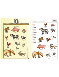 Miniarco Practise your english 2 2