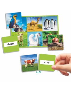 Loto: 72 animales 2