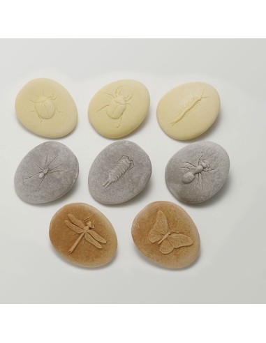 Investiguemos los insectos