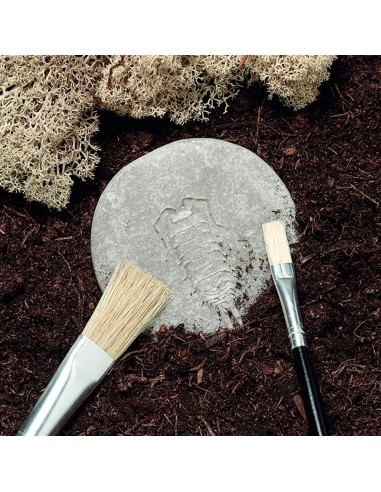 Investiguemos los insectos