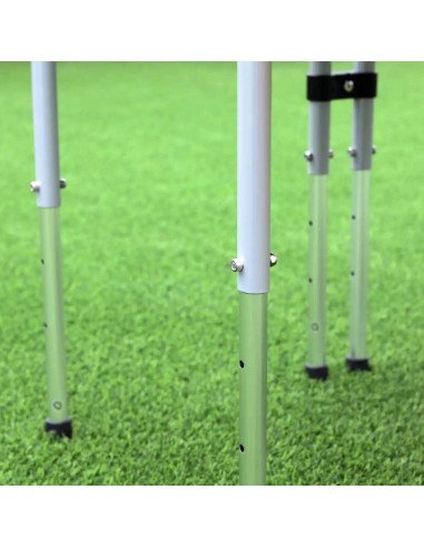 Conjunto experimentación colores