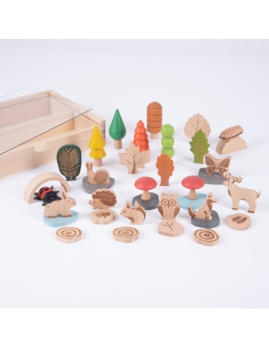 Conjunto senderos del bosque