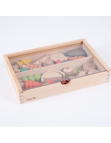 Conjunto senderos del bosque