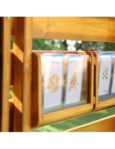 Estación de descubrimiento exterior