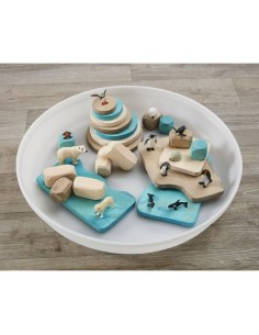 Conjunto escena de hielo