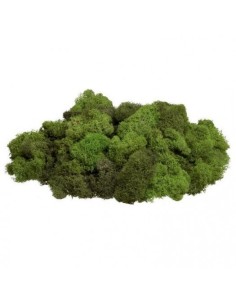 Musgo natural 500g