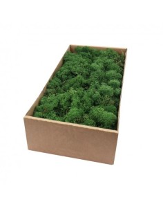 Musgo natural 500g 2