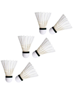 Volante Badminton 6u