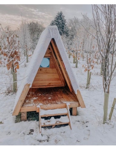 Casita del bosque Pack 2