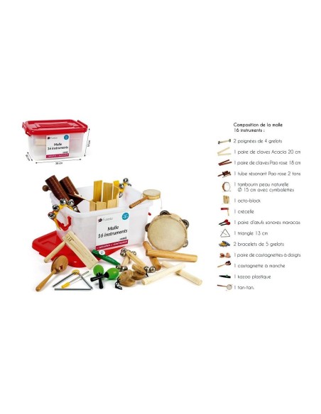 Cofre con 16 instrumentos