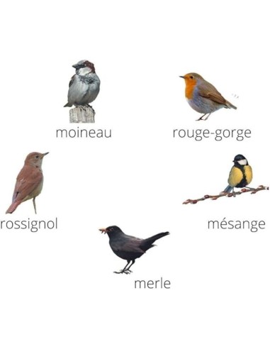 Cofre con 5 reclamos naturales