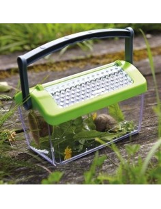 Caja para insectos 2