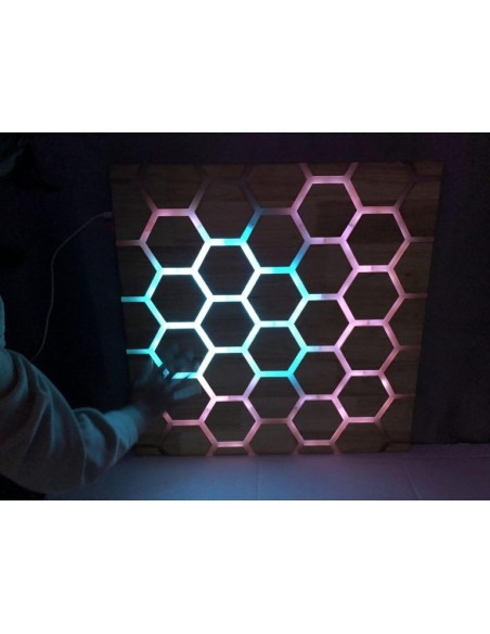Panel interactivo nido de abeja