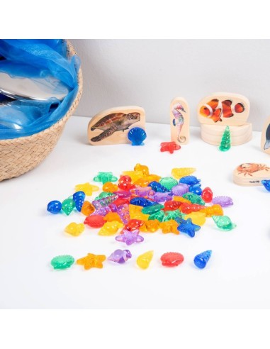 Clasificar conchas translúcidas 72u