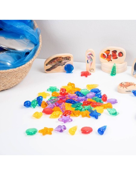 Clasificar conchas translúcidas 72u