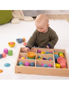 Bandeja 7 compartimentos 2