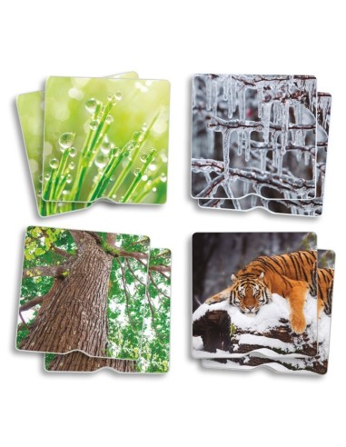 Maxi-Memory TACTIL Naturaleza