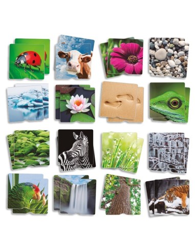 Maxi-Memory TACTIL Naturaleza