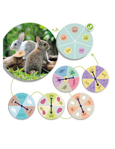 El mundo animal: Descubre y Clasifica
