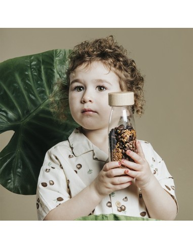 Pack Botellas sensoriales NATURE