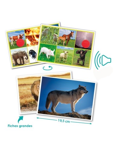 Bingo: Los Animales y la Naturaleza