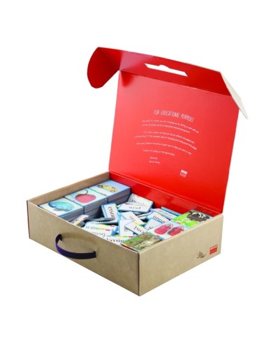 Autodictados Sustantivos