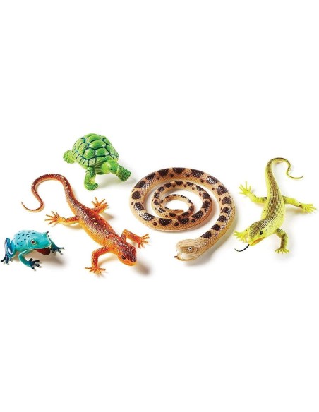 Reptiles y anfíbios XL