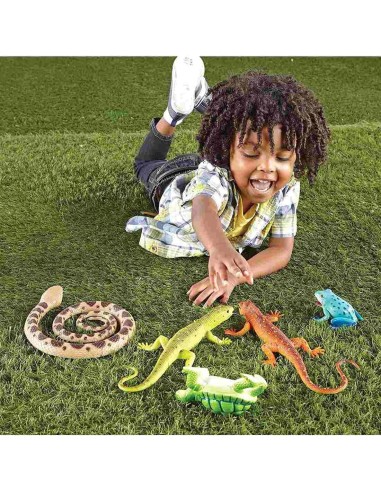 Reptiles y anfíbios XL