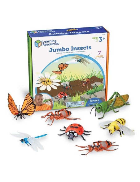 Insectos XL