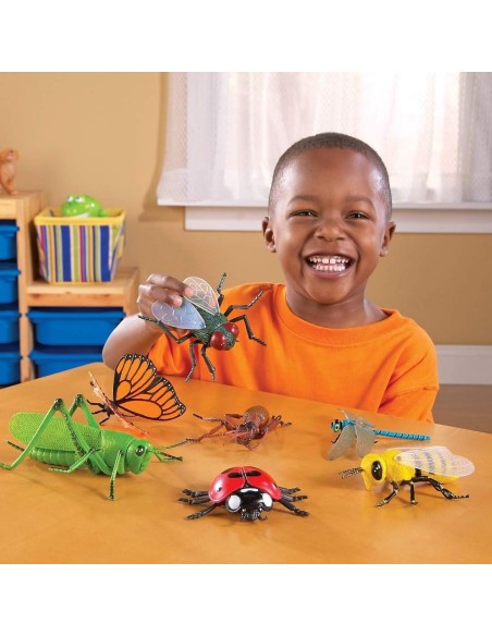 Insectos XL