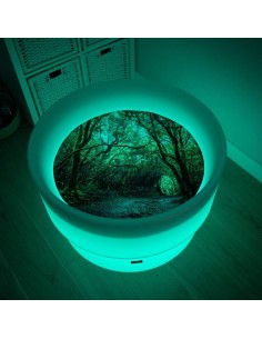 Mesa descubrimiento sensorial + En el bosque 2