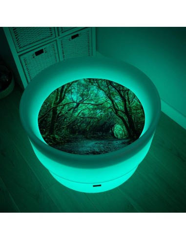 Mesa descubrimiento sensorial + En el bosque