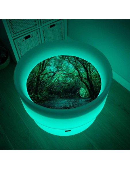 Mesa descubrimiento sensorial + En el bosque