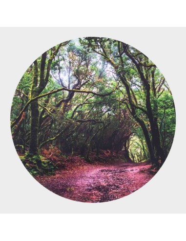 Mesa descubrimiento sensorial + En el bosque