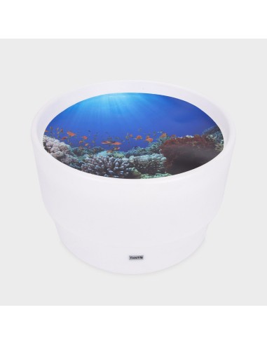 Mesa descubrimiento sensorial + En el mar