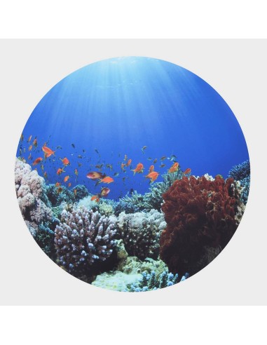 Mesa descubrimiento sensorial + En el mar