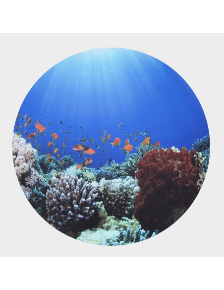 Mesa descubrimiento sensorial + En el mar