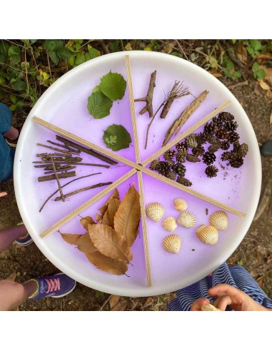 Mesa descubrimiento sensorial + separadores