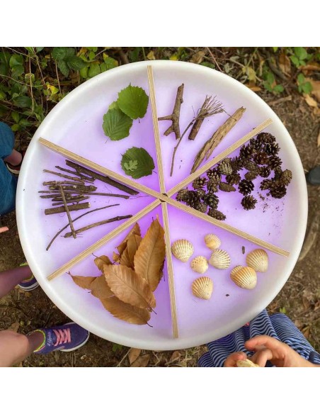 Mesa descubrimiento sensorial + separadores