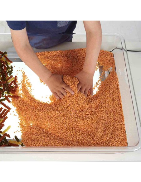 Panel de luz A3 + bandeja de exploración