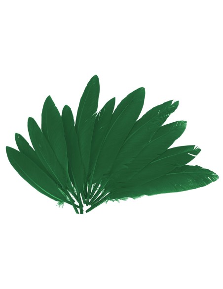 Plumas indio bolsa 60u