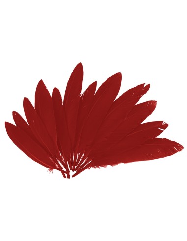 Plumas indio bolsa 60u