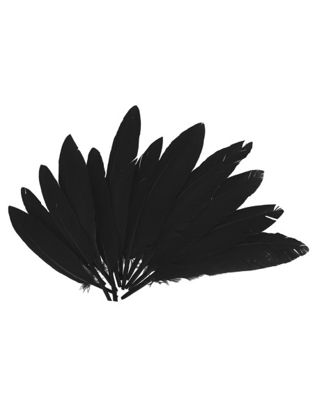 Plumas indio bolsa 60u