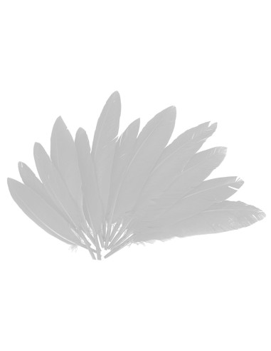 Plumas indio bolsa 60u