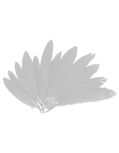 Plumas indio bolsa 60u