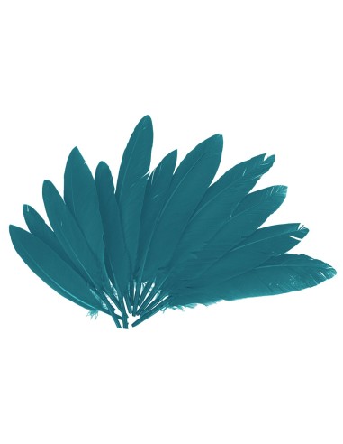 Plumas indio bolsa 60u