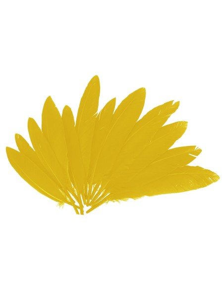 Plumas indio bolsa 60u