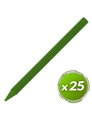 Ceras plastidecor BIC 25u