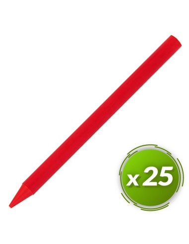 Ceras plastidecor BIC 25u